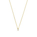 Isabel Bernard De la Paix Christine 14 karat gold necklace | diamond 0.10 ct