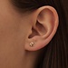 Isabel Bernard Rivoli Méline clous d'oreilles en or 14 carats avec nœud
