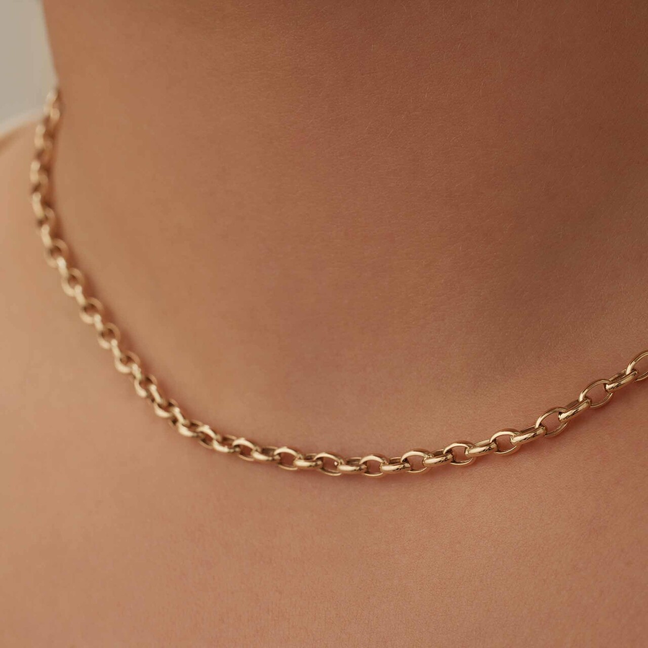 Isabel Bernard Aidee Camille 14 karat gold link necklace