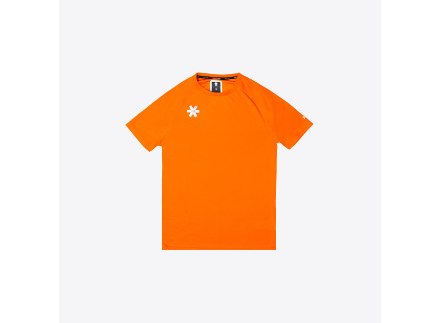 Deshi training tee orange