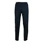 Jaipur Men Performance Pants Navy