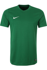 NIKE Trikot PARK VI Kurzarm - GRÜN