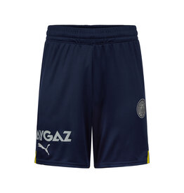 PUMA Puma Fenerbahçe S.K. Replik-Shorts 22/23 - BLAU