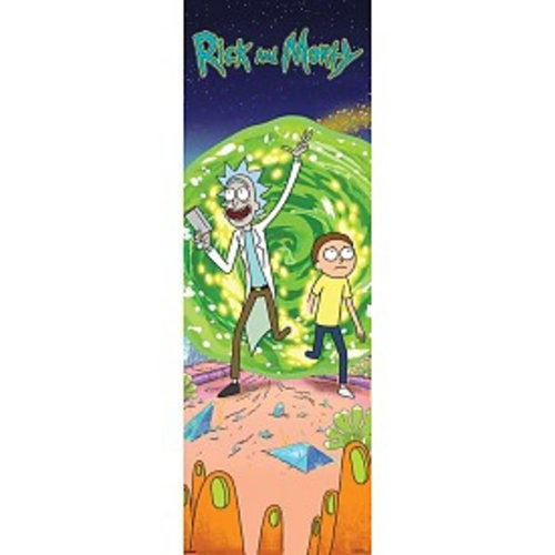 Hole in the Wall Rick And Morty Doorposter 53x158