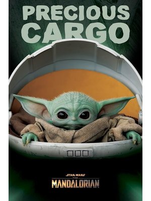 Hole in the Wall Star Wars The Mandalorian Precious Cargo Maxi Poster 61x91.5