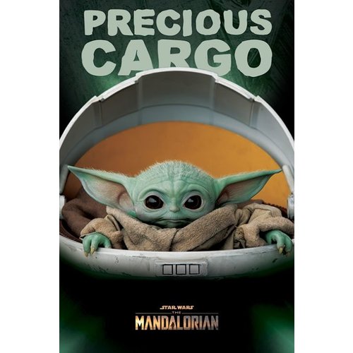 Hole in the Wall Star Wars The Mandalorian Precious Cargo Maxi Poster 61x91.5