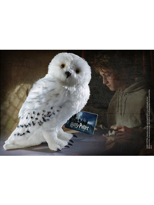 The Noble Collection Harry Potter Hedwig Pluche 30cm Noble Collection