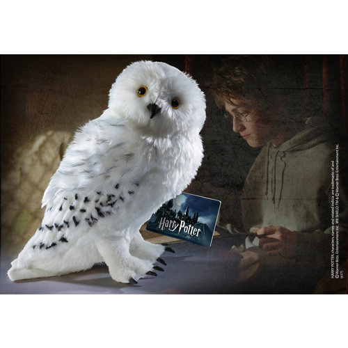 The Noble Collection Harry Potter Hedwig Pluche 30cm Noble Collection