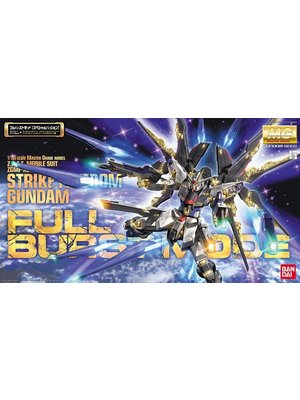 Bandai Gundam MG ZGMF-X20A Strike Freedom Full  Burst Mode 1/100 Model Kit
