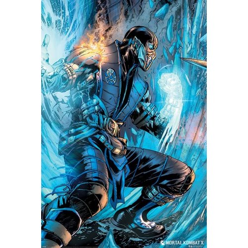 Hole in the Wall Mortal Kombat Sub Zero Maxi Poster 61x91.5 Hole in the Wall Mortal Kombat Sub Zero Maxi Poster 61x91.5