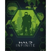 Halo Infinite Master Chief Hex Mini Poster 40x50