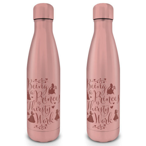 Disney Princess Thirsty Work  Metal Bottle 550ml