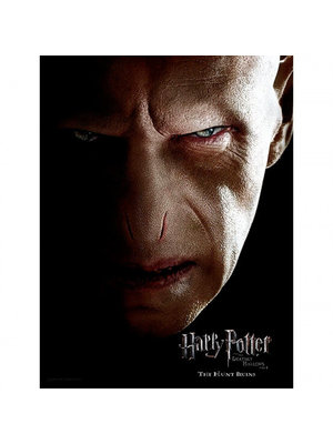 Harry PotterHarry Potter Glass Print Lord Voldemort Face Portret 30x40cm