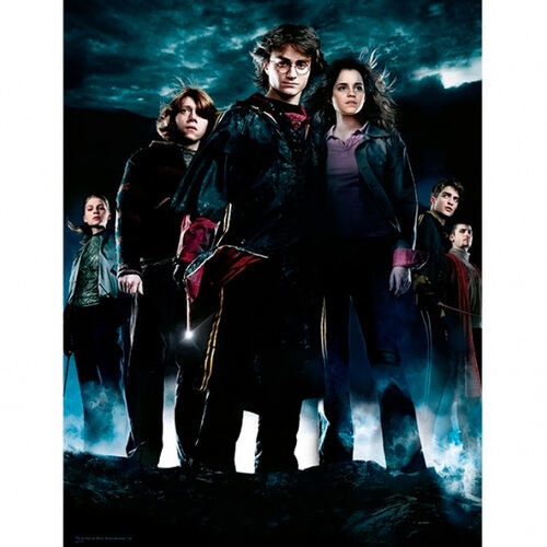 Pyramid Harry Potter Glass Print Harry Potter 4 Cast 30x40