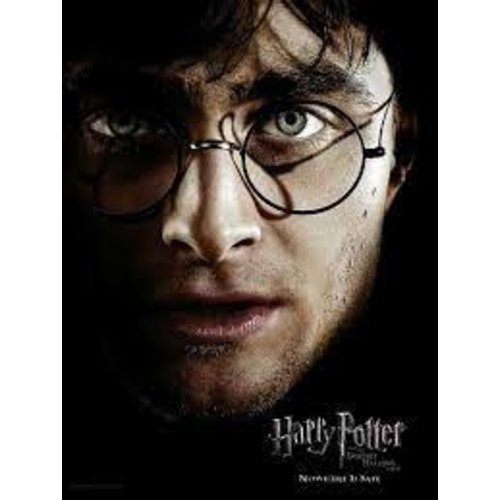 Pyramid Harry Potter Glass Print Harry Face Portret 30x40