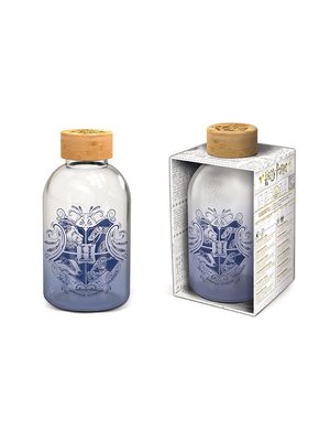 Stor Harry Potter Glass Bottle 620ml