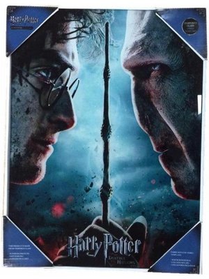 SD Toys Harry Potter Glass Print Harry VS Voldemort 30x40