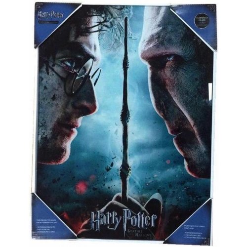 SD Toys Harry Potter Glass Print Harry VS Voldemort 30x40