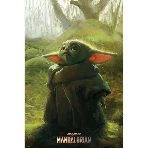 Pyramid Star Wars The Mandalorian The Child Art Maxi Poster 61x91.5