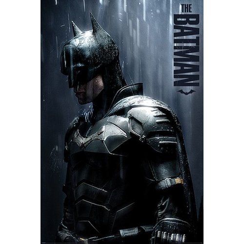 Pyramid The Batman Downpour 61x91.5cm Poster