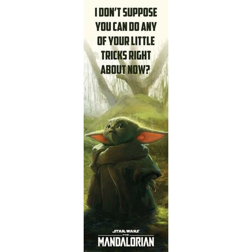 Pyramid Star Wars The Mandalorian Special Tricks Doorposter 53x158