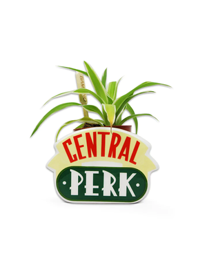 Friends Central Perk Plant Pot