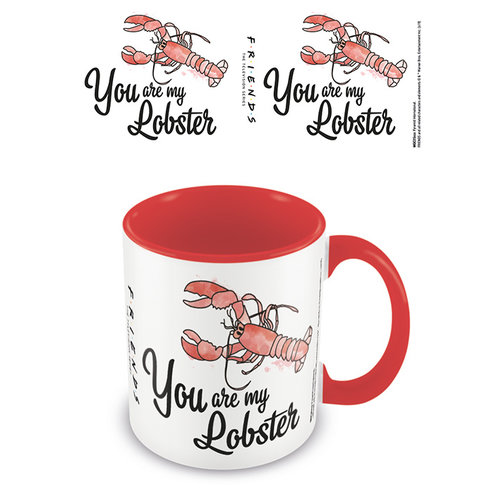 Pyramid Friends You Are My Lobster Coloured Inner Mug 315ml