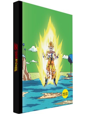 Dragon Ball Z Namek Final Battle No