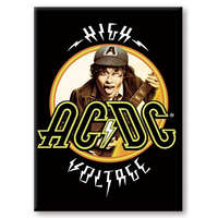 AC/DC High Voltage Magnet 6.3x8.9cm
