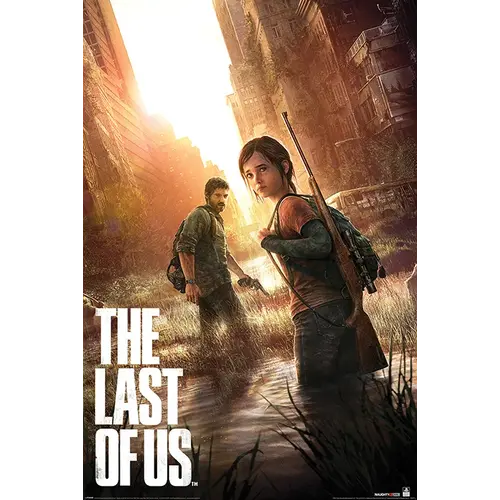 Hole in the Wall Playstation The Last of Us Max Maxi Poster 61x91.5cm