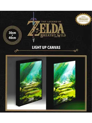 Pyramid The Legend of Zelda Master Sword Light Canvas 40x30cm