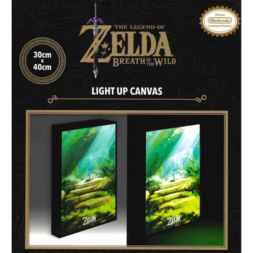 Pyramid The Legend of Zelda Master Sword Light Canvas 40x30cm