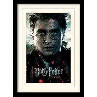 Harry Potter Mounted and Framed 30x40 Print Deathly Hallows Part 2