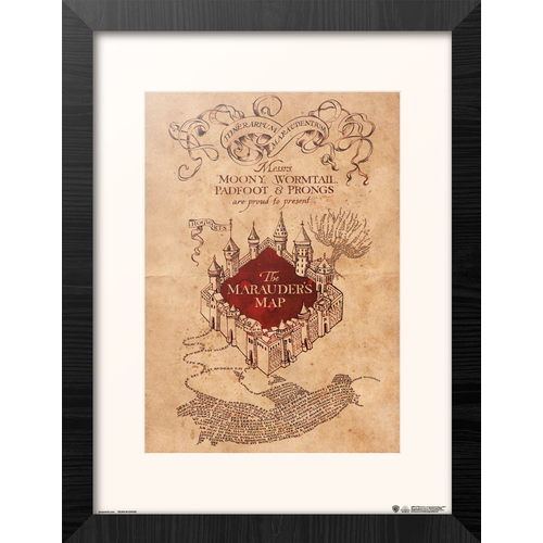 Pyramid Harry Potter Marauder's Map Collector Print 30x40cm
