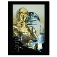 Star Wars Droids Key Art Collector Print 30x40cm