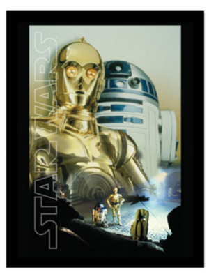 Pyramid Star Wars Droids Key Art Collector Print 30x40cm