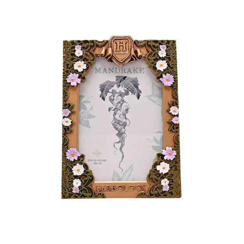 Widdop Harry Potter Herbiology 3D Photo Frame Widdop Harry Potter Herbiology 3D Photo Frame