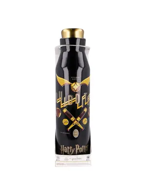 Stor Harry Potter Quidditch Diabolo Stainless Steel Bottle 580ml