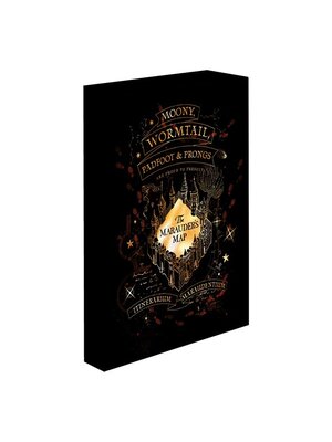 Pyramid Harry Potter Marauders Map Light Canvas 40x30cm