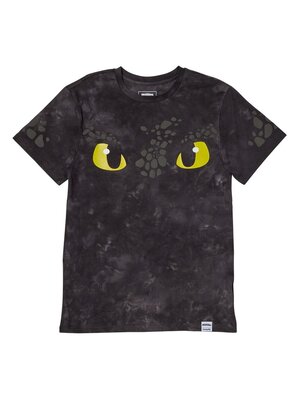 How To Train Your Dragon T-Shirt Si