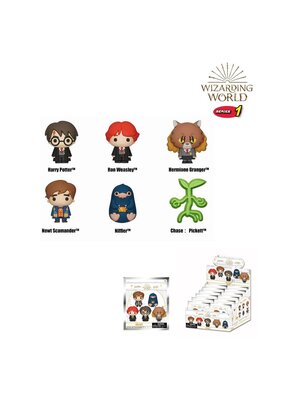 Monogram Harry Potter Wizarding World 3D Magnet Mystery Bag