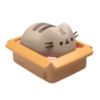 Pusheen Money Bank