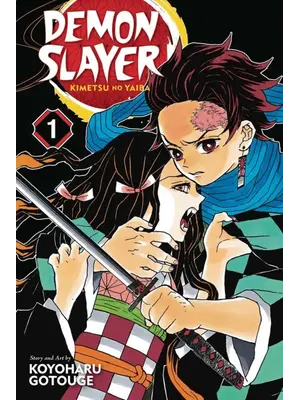 Dark Dragon Books Demon Slayer Koyoharu Gotouge NL Manga 1