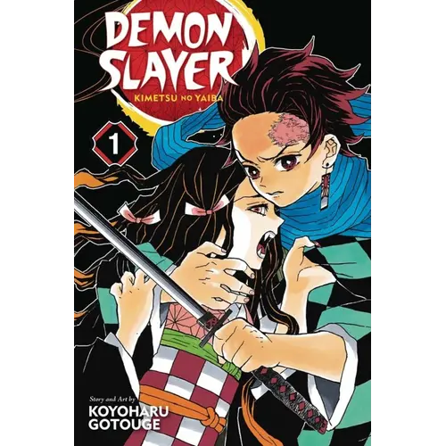 Dark Dragon Books Demon Slayer Koyoharu Gotouge NL Manga 1