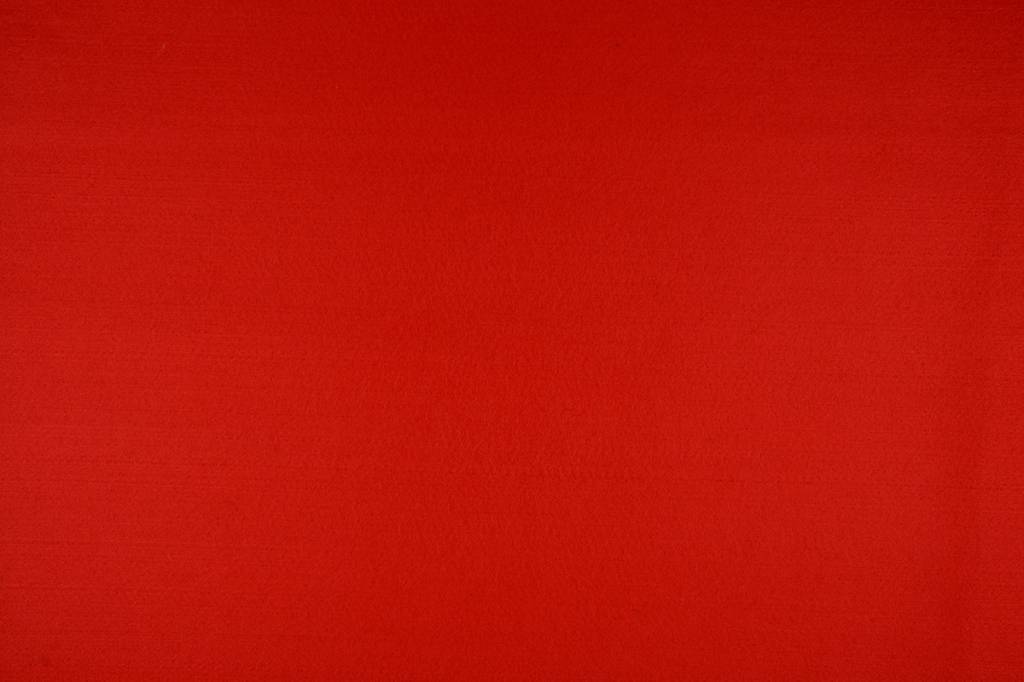 Red Carpet Fabric Thick - 1 meter width