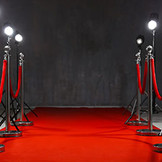 Red Carpet Fabric Thick - 1 meter width