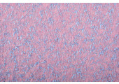 Gebreide Wollen stof Lanoso Roze Blauw