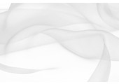 Organza Silver