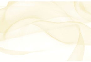Organza Beige