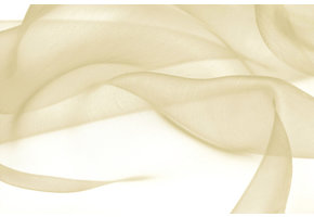 Organza Licht goud